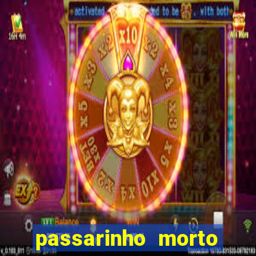 passarinho morto significado espiritual